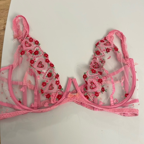For Love and Lemons Pink and Red Heart Bra - Picture 1 of 3